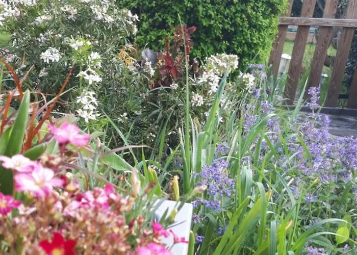 La Meizou, Gite A Champeix Champeix